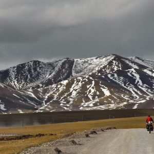 Altiplano Tibetano 2011